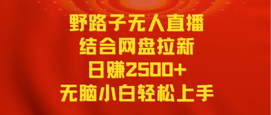 无人直播野路子结合网盘拉新，日赚2500+多平台变现，小白无脑轻松上手操作-91搞钱