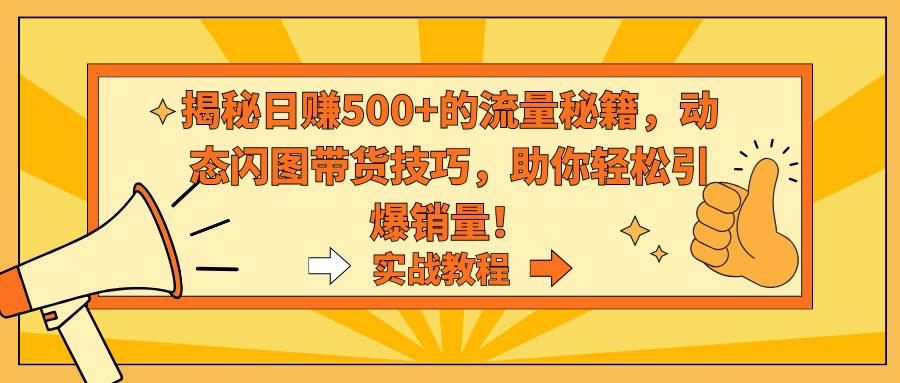 揭秘日赚500+的流量秘籍，动态闪图带货技巧，助你轻松引爆销量！-91搞钱