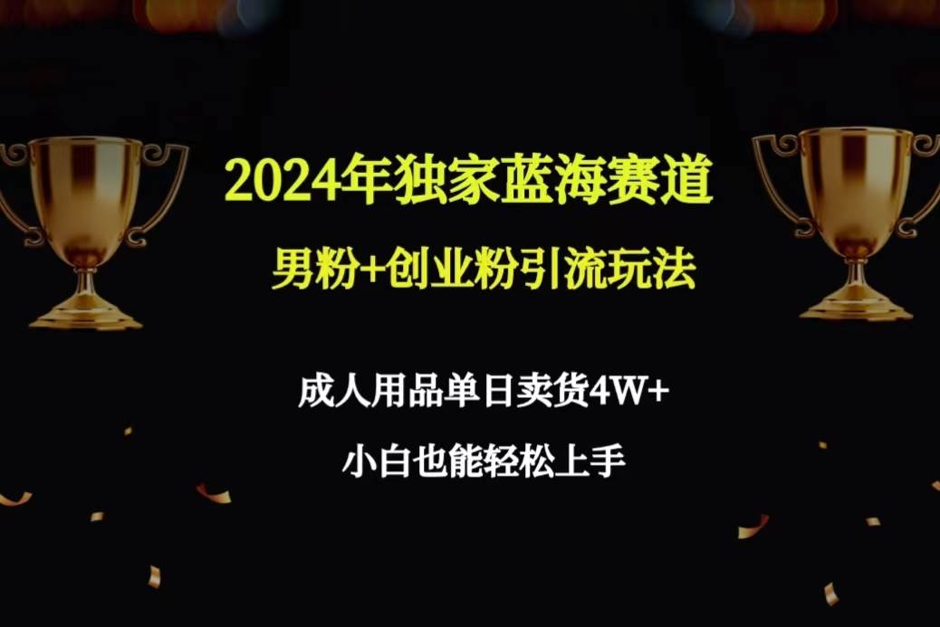 2024年独家蓝海赛道男粉+创业粉引流玩法，成人用品单日卖货4W+保姆教程-91搞钱