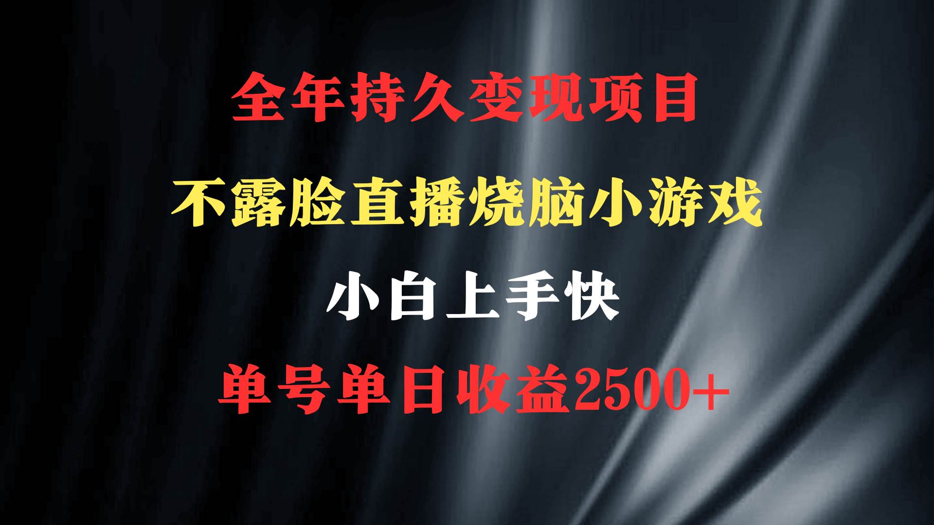 2024年 最优项目，烧脑小游戏不露脸直播  小白上手快 无门槛 一天收益2500+-91搞钱