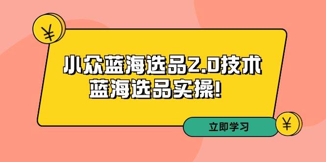 拼多多培训第33期：小众蓝海选品2.0技术-蓝海选品实操！-91搞钱