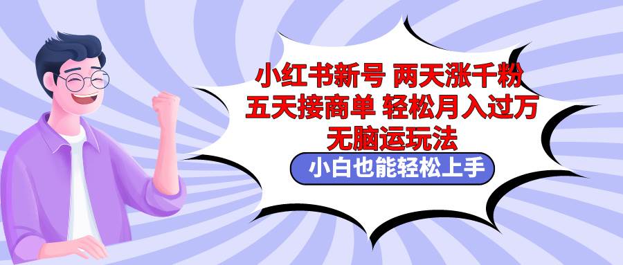 小红书新号两天涨千粉五天接商单轻松月入过万 无脑搬运玩法 小白也能轻...-91搞钱