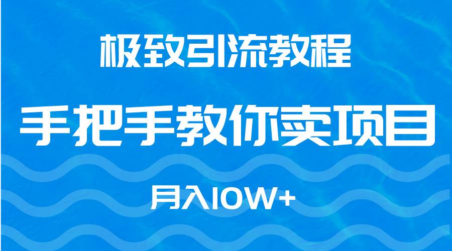 极致引流教程，手把手教你卖项目，月入10W+-91搞钱