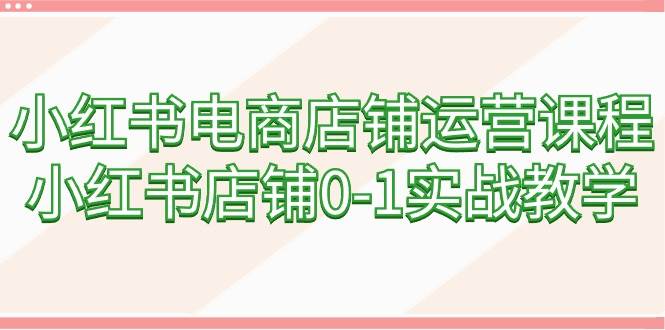 小红书电商店铺运营课程，小红书店铺0-1实战教学（60节课）-91搞钱
