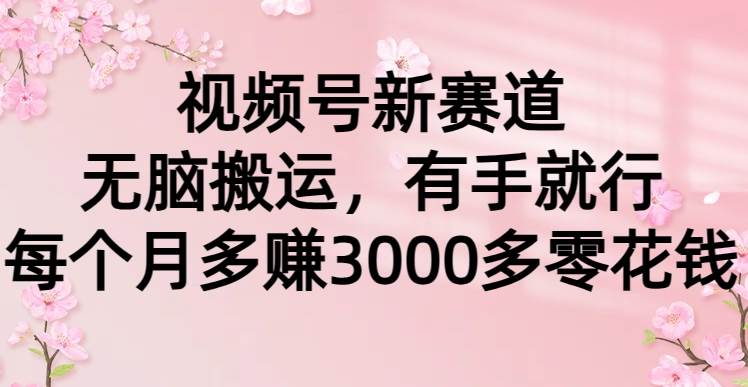 视频号新赛道，无脑搬运，有手就行，每个月多赚3000多零花钱-91搞钱