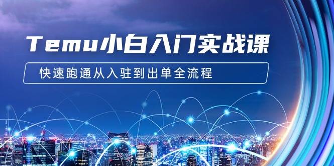 Temu小白入门实战课：跨境拼多多电商培训 快速跑通从入驻到出单全流程-12节-91搞钱