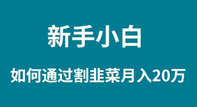 新手小白如何通过割韭菜月入 20W-91搞钱