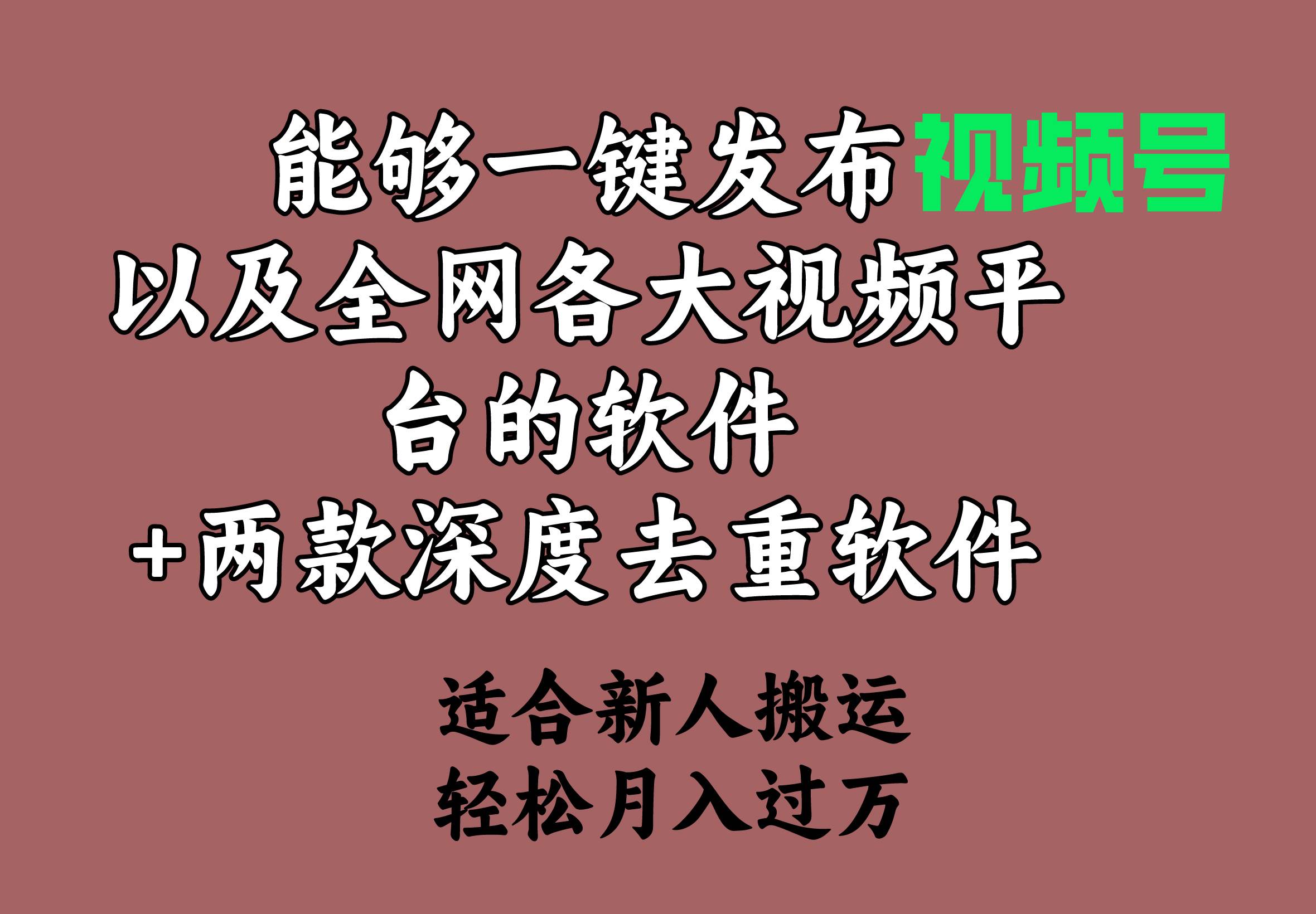 能够一键发布视频号以及全网各大视频平台的软件+两款深度去重软件 适合...-91搞钱