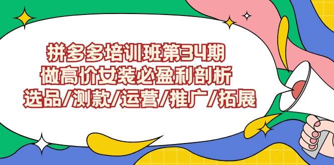 拼多多培训班第34期：做高价女装必盈利剖析  选品/测款/运营/推广/拓展-91搞钱
