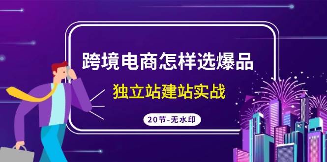 跨境电商怎样选爆品，独立站建站实战（20节高清无水印课）-91搞钱
