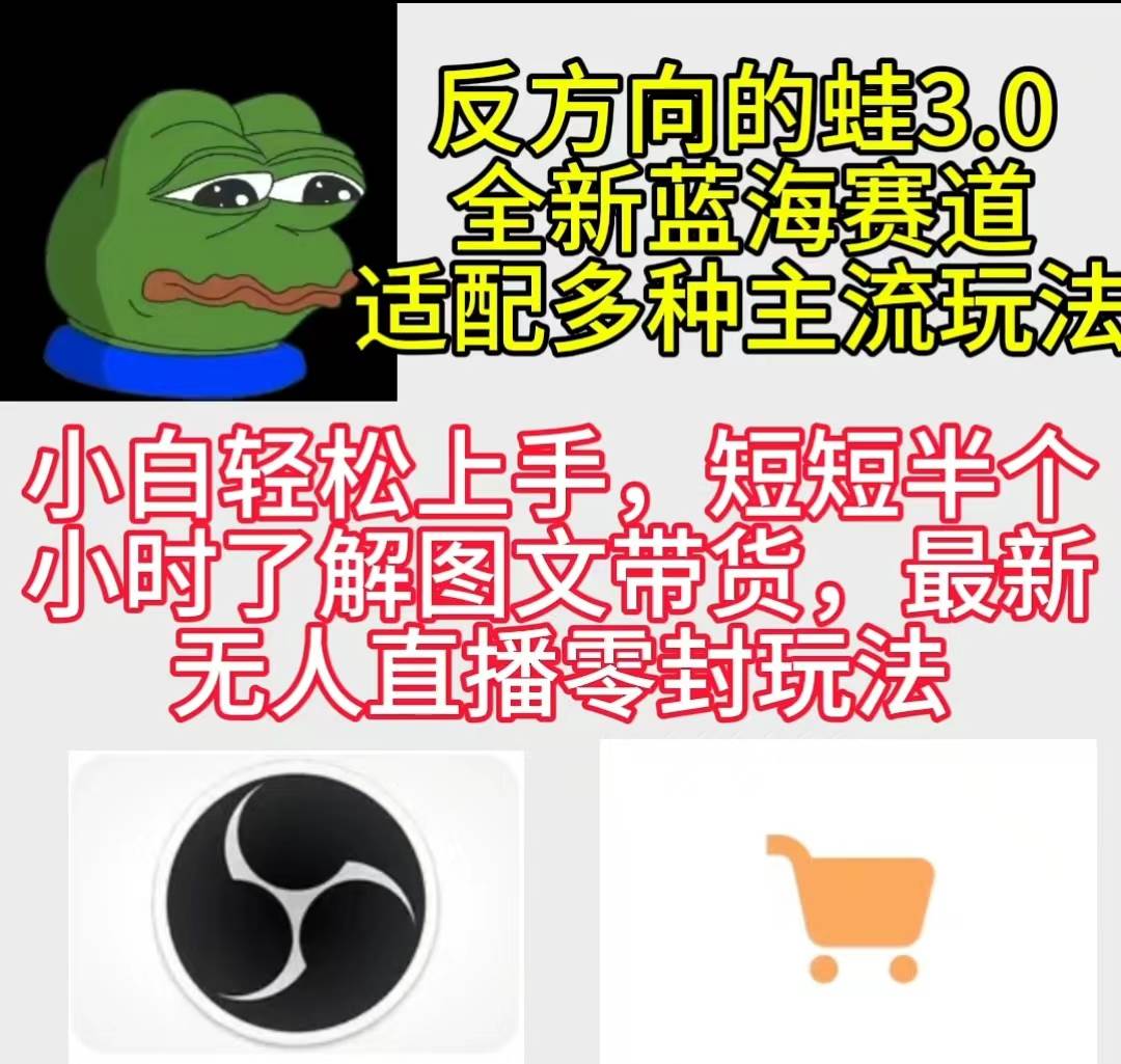 反方向的蛙3.0，图文最新玩法，变现多元化，新蓝海项目，小白轻松上手-91搞钱