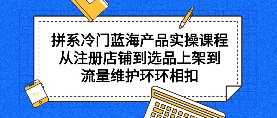 拼系冷门蓝海产品实操课程，从注册店铺到选品上架到流量维护环环相扣-91搞钱