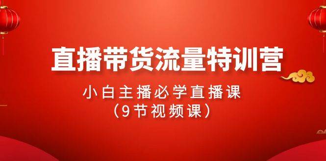 2024直播带货流量特训营，小白主播必学直播课（9节视频课）-91搞钱
