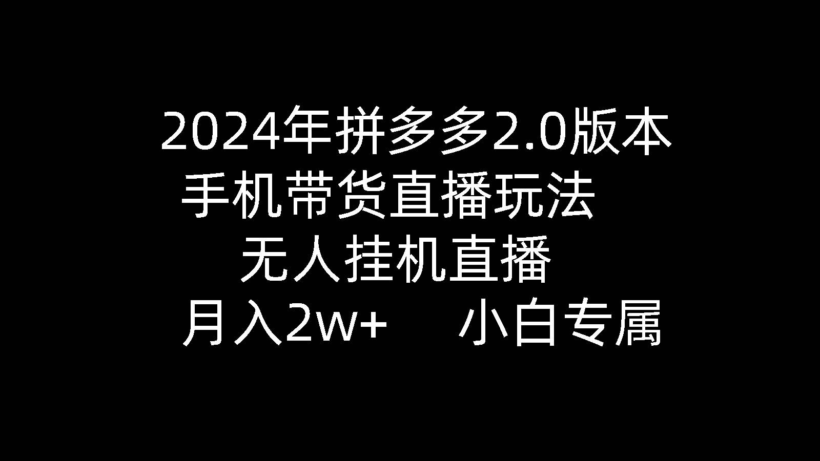 2024年拼多多2.0版本，手机带货直播玩法，无人工具直播， 月入2w+， 小...-91搞钱