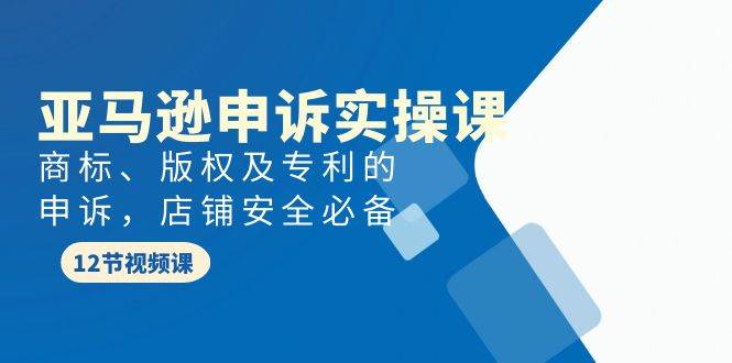 亚马逊-申诉实战课，商标、版权及专利的申诉，店铺安全必备-91搞钱