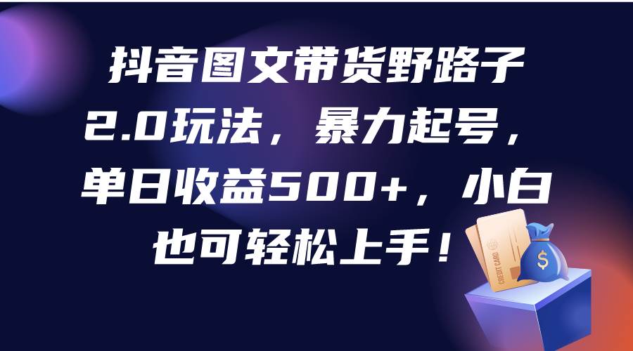 抖音图文带货野路子2.0玩法，暴力起号，单日收益500+，小白也可轻松上手！-91搞钱