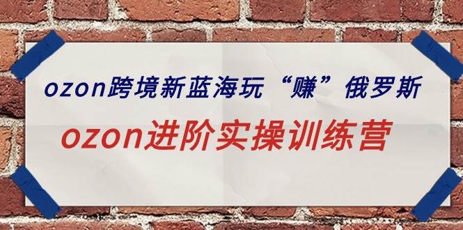 ozon跨境新蓝海玩“赚”俄罗斯，ozon进阶实操训练营-91搞钱