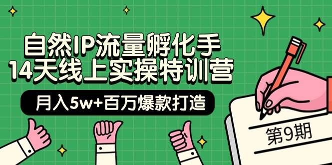 自然IP流量孵化手 14天线上实操特训营【第9期】月入5w+百万爆款打造 (74节)-91搞钱