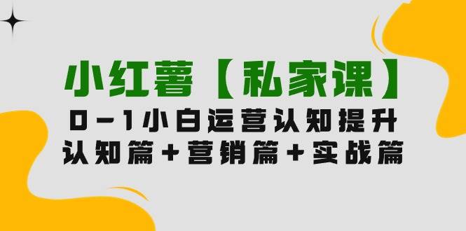小红薯【私家课】0-1玩赚小红书内容营销，认知篇+营销篇+实战篇（11节课）-91搞钱