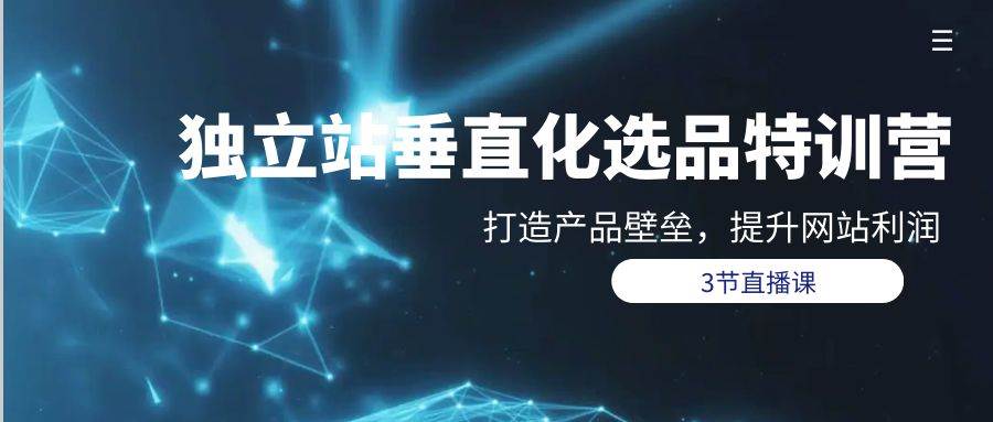 独立站-垂直化选品训练营，打造产品壁垒，提升网站利润（3节直播课）-91搞钱