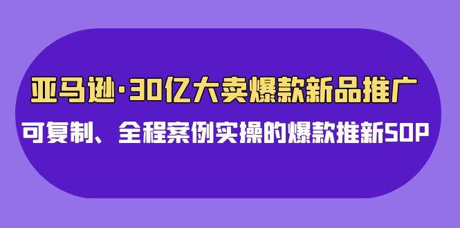 亚马逊30亿·大卖爆款新品推广，可复制、全程案例实操的爆款推新SOP-91搞钱