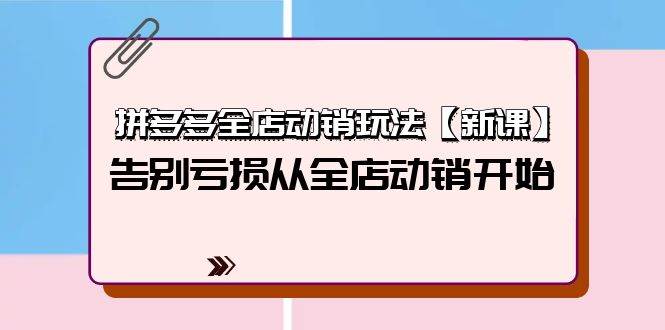 拼多多全店动销玩法【新课】，告别亏损从全店动销开始（4节视频课）-91搞钱