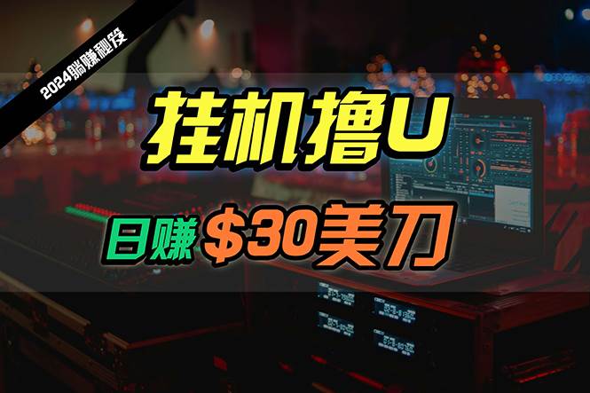日赚30美刀，2024最新海工具机撸U内部项目，全程无人值守，可批量放大-91搞钱