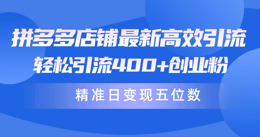 拼多多店铺最新高效引流术，轻松引流400+创业粉，精准日变现五位数！-91搞钱
