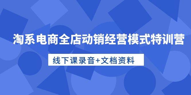 淘系电商全店动销经营模式特训营，线下课录音+文档资料-91搞钱