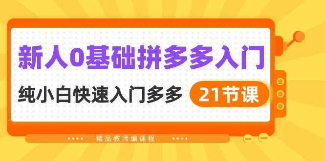 新人0基础拼多多入门，纯小白快速入门多多（21节课）-91搞钱
