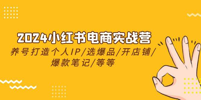 2024小红书电商实战营，养号打造IP/选爆品/开店铺/爆款笔记/等等（24节）-91搞钱