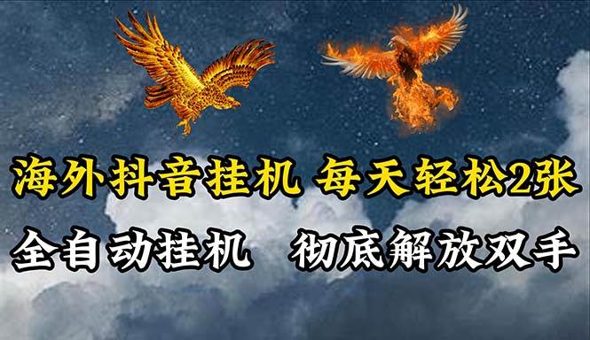 海外抖音工具，全自动工具，每天轻松两张-91搞钱