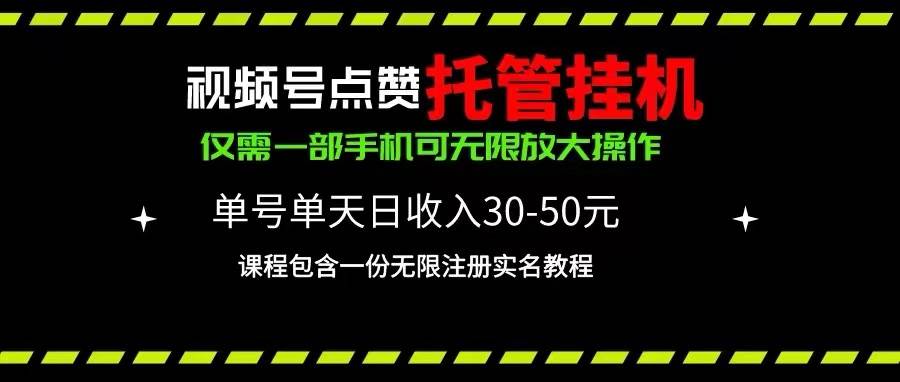视频号点赞托管工具，单号单天利润30~50，一部手机无限放大（附带无限...-91搞钱