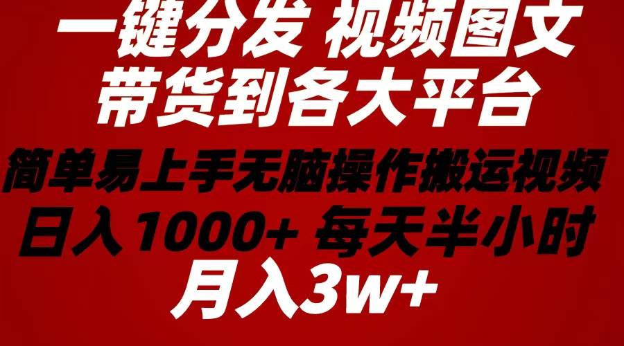 2024年 一键分发带货图文视频  简单易上手 无脑赚收益 每天半小时日入1...-91搞钱