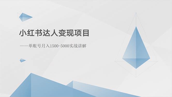 小红书达人变现项目：单账号月入1500-3000实战讲解-91搞钱
