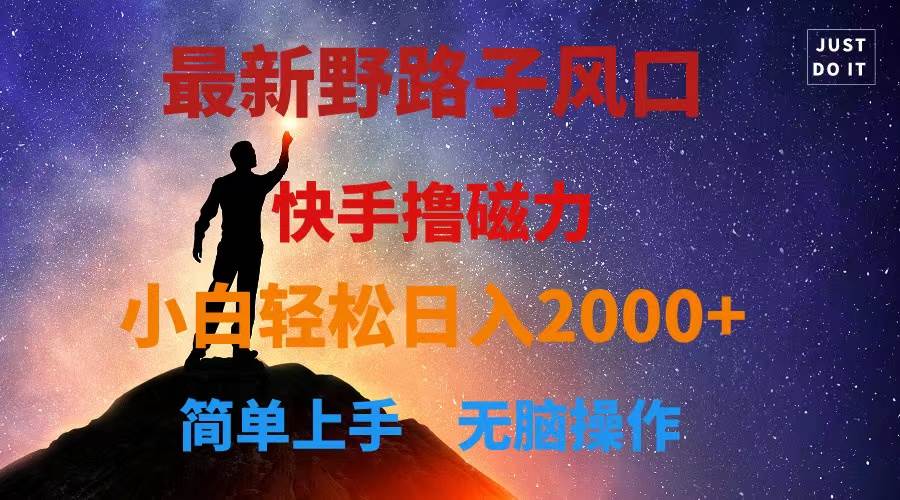 最新风口！快手撸磁力，野路子，小白无脑操作日入2000+-91搞钱