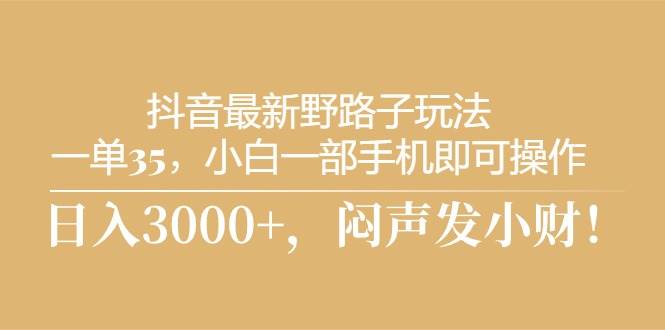 抖音最新野路子玩法，一单35，小白一部手机即可操作，，日入3000+，闷...-91搞钱