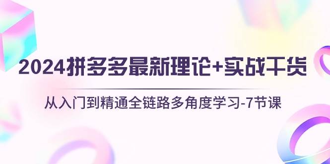 2024拼多多 最新理论+实战干货，从入门到精通全链路多角度学习-7节课-91搞钱