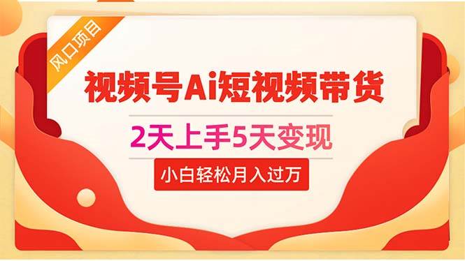 2天上手5天变现视频号Ai短视频带货0粉丝0基础小白轻松月入过万-91搞钱