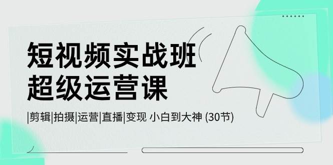 短视频实战班-超级运营课，|剪辑|拍摄|运营|直播|变现 小白到大神 (30节)-91搞钱