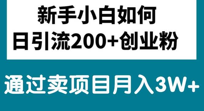 新手小白日引流200+创业粉,通过卖项目月入3W+-91搞钱