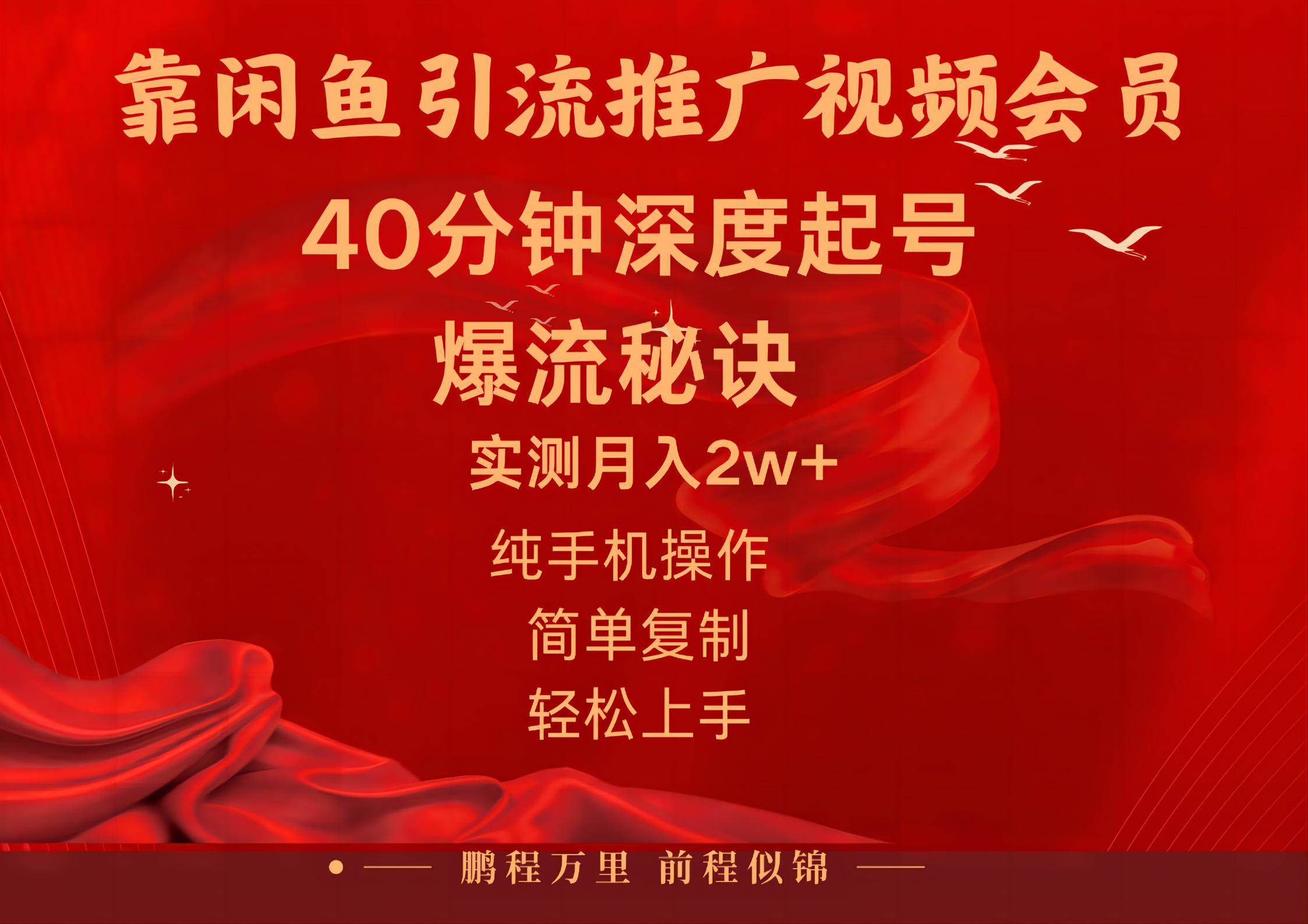 闲鱼暴力引流推广视频会员，能做到日入2W+，操作简单-91搞钱