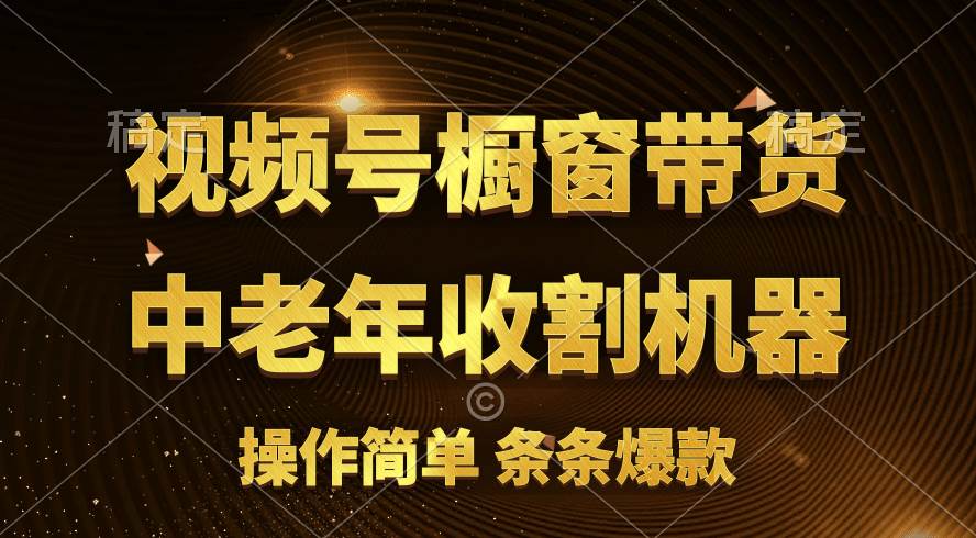 [你的孩子成功取得高位]视频号最火爆赛道，橱窗带货，流量分成计划，条...-91搞钱