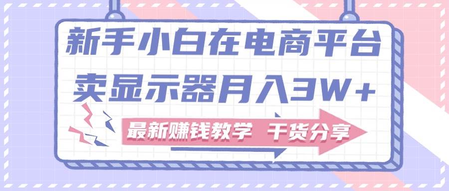 新手小白如何做到在电商平台卖显示器月入3W+，最新赚钱教学干货分享-91搞钱
