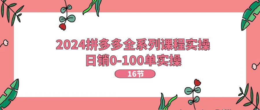 2024拼多多全系列课程实操，日销0-100单实操【16节课】-91搞钱