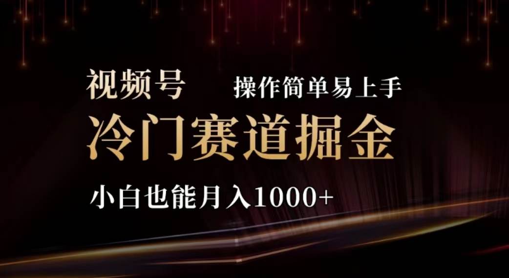 2024视频号冷门赛道掘金，操作简单轻松上手，小白也能月入1000+-91搞钱