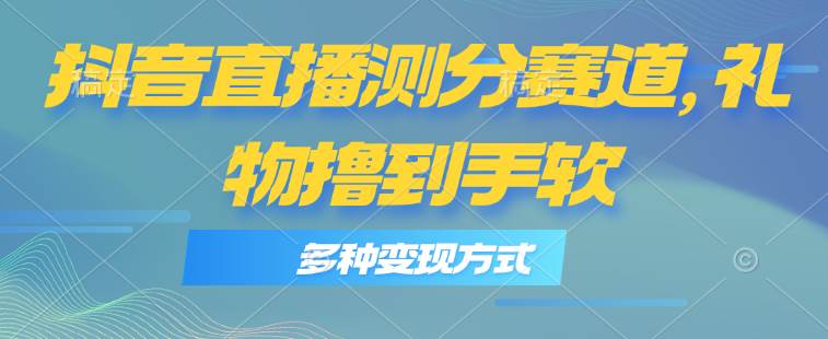 抖音直播测分赛道，多种变现方式，轻松日入1000+-91搞钱