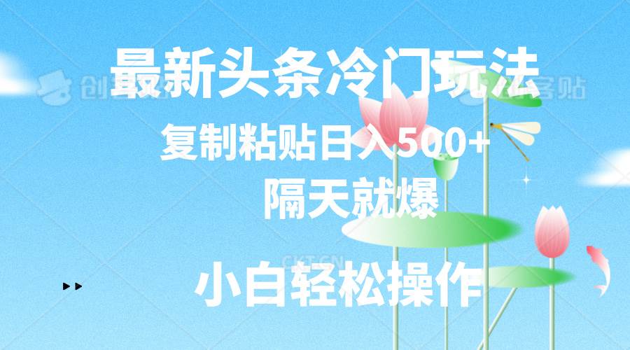 最新头条冷门玩法，隔天就爆，复制粘贴日入500+-91搞钱