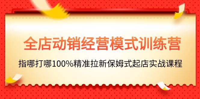 全店动销-经营模式训练营，指哪打哪100%精准拉新保姆式起店实战课程-91搞钱