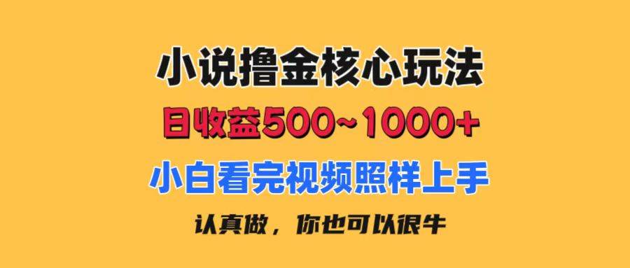 小说撸金核心玩法，日收益500-1000+，小白看完照样上手，0成本有手就行-91搞钱